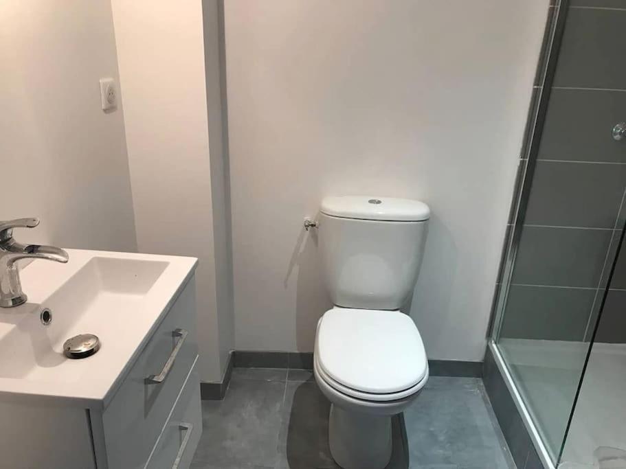 Appartement 10 Pers Face Gare Sncf Appart Hotel Le Cygne A Bourges Buitenkant foto